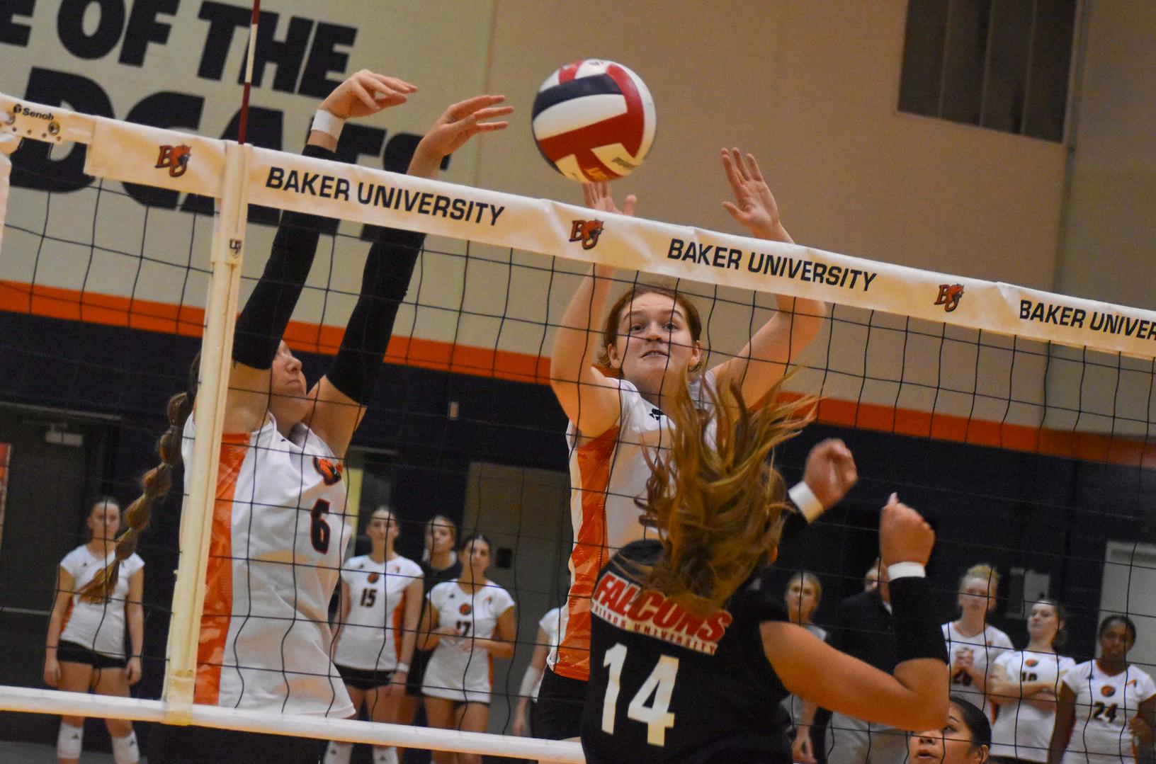 Wildcats Cruise to 3-1 Victory over Falcons, Sweep Weekend Split